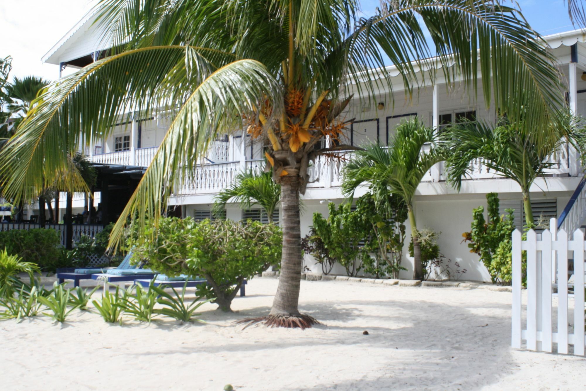 Holiday Hotel San Pedro (Ambergris Caye) Exterior foto